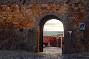 Article