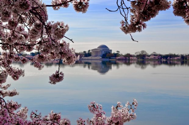 The Tidal Basin during 