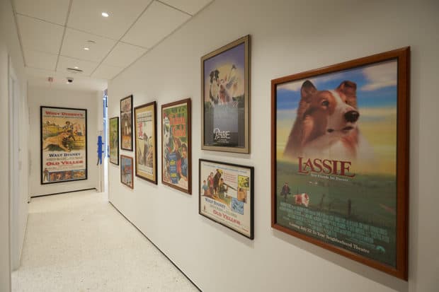 The Museum of the Dog, New York City. Courtesy American Kennel Club, photo by David Woo.