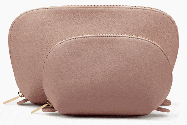 Cuyana leather travel case