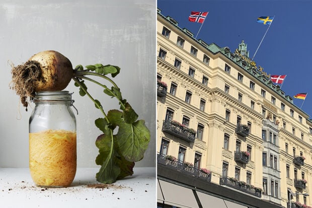 Pickled rutabega from Stockholm's Grand Hotel. Courtesy, from left: Grand Hotel Stockholm; Melissa Biggs Bradley