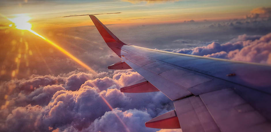 Plane Wing