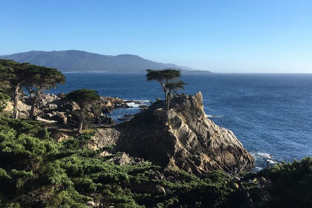 17 Mile Drive in Monterey. Courtesy Indagare