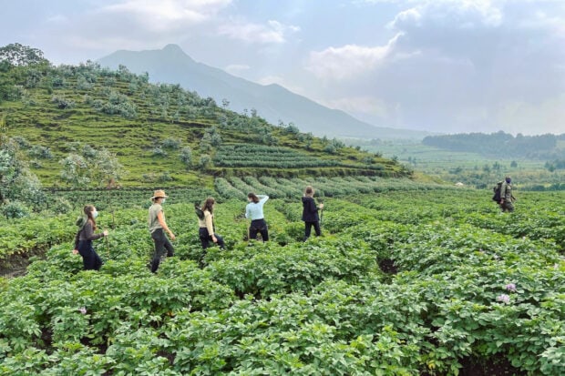 Trekking in Rwanda