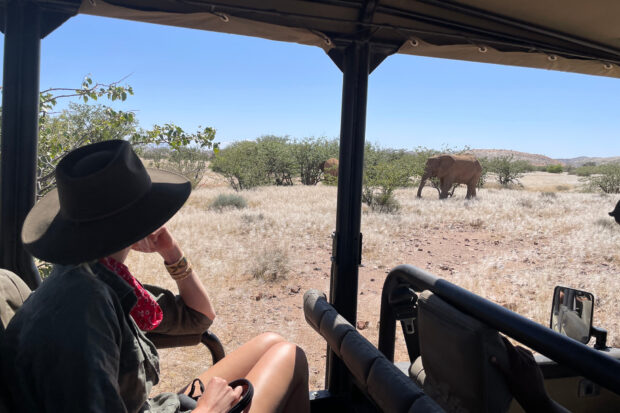 A game drive in Namibia. Photo courtesy of Elise Bronzo