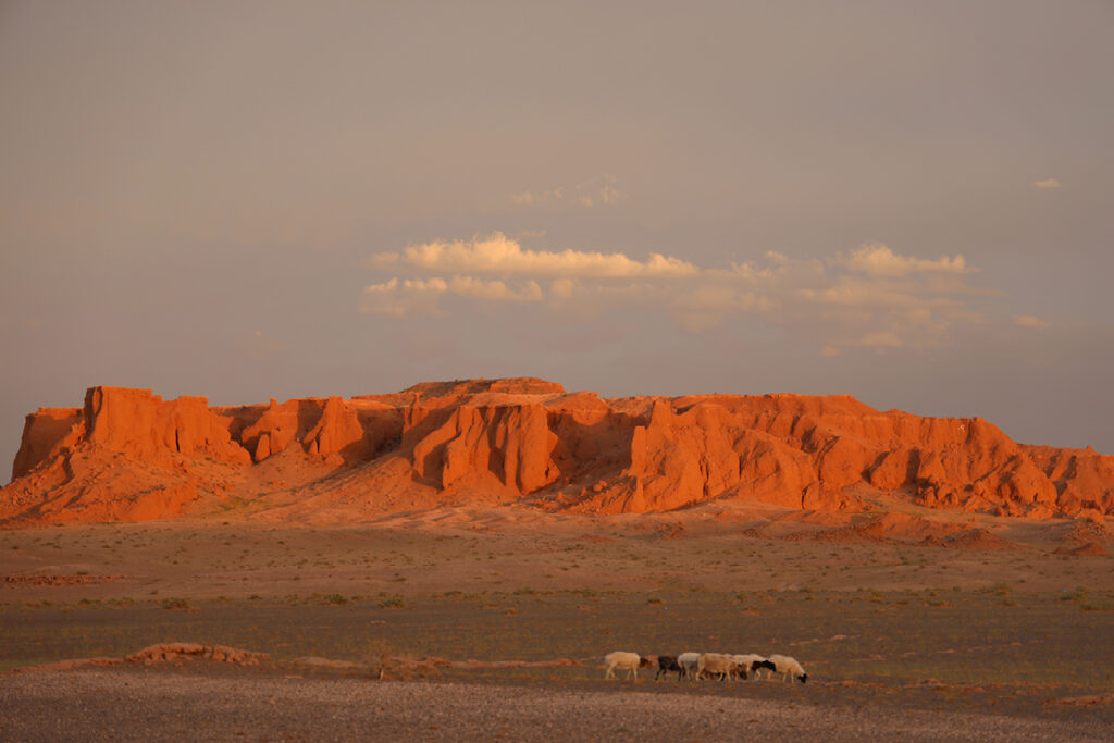 Flaming Cliffs Mongolia