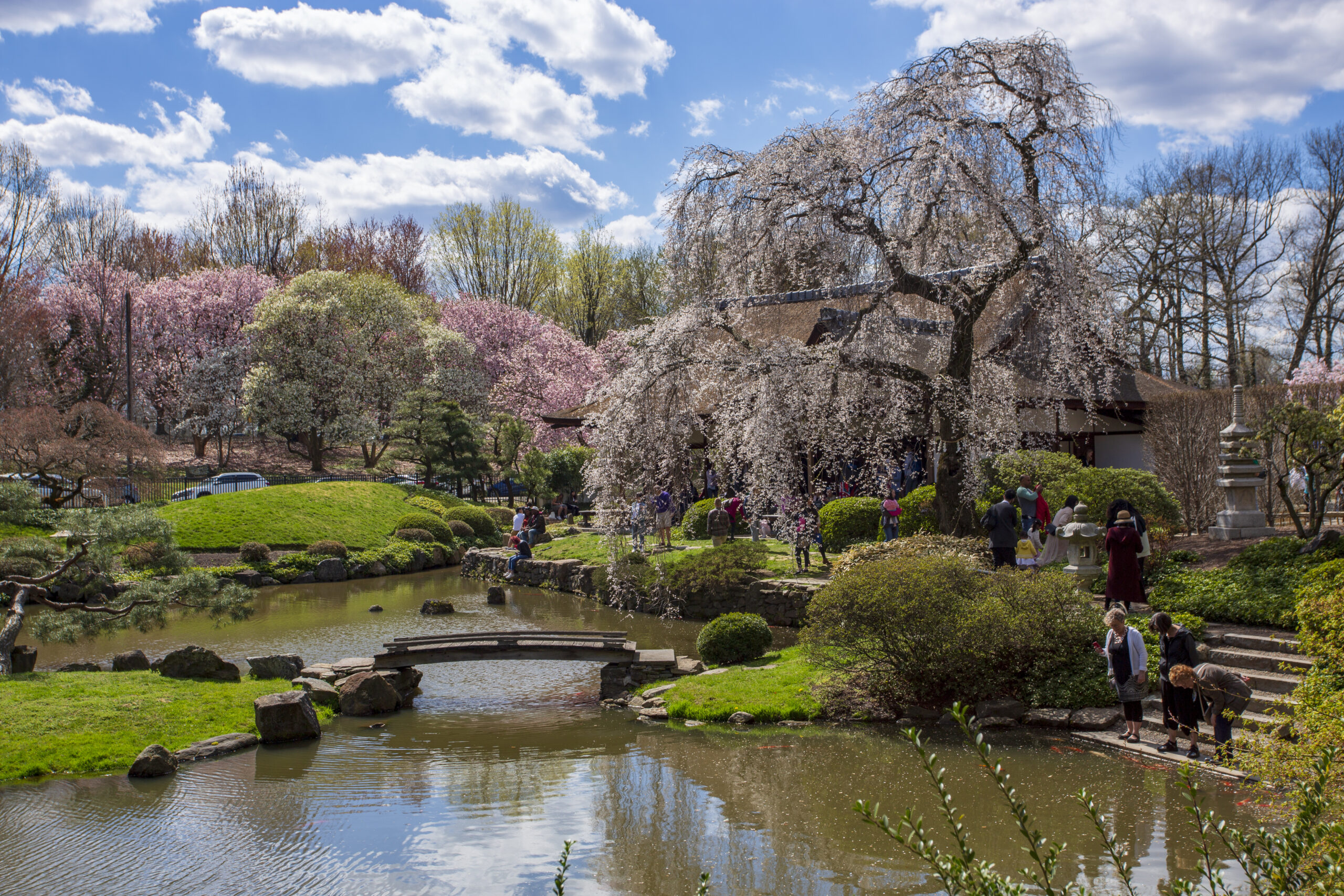 In the heart of Philadelphia’s West Fairmount Park, Shofuso Japanese House and Garden. Photo by C. Smythe, courtesy Visit Philadelphia®