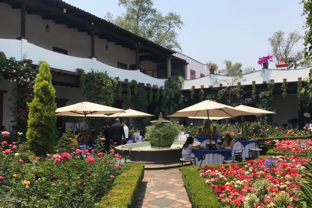 San Angel Inn’s courtyard. Photo by Rose Allen, courtesy Indagare