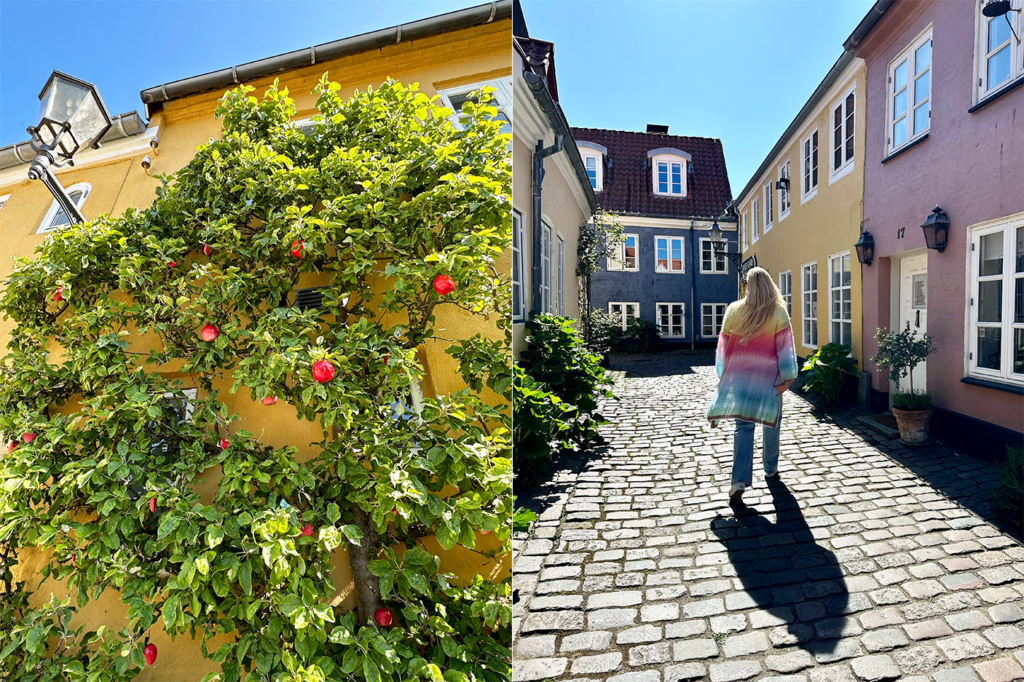 Aalborg Old Town