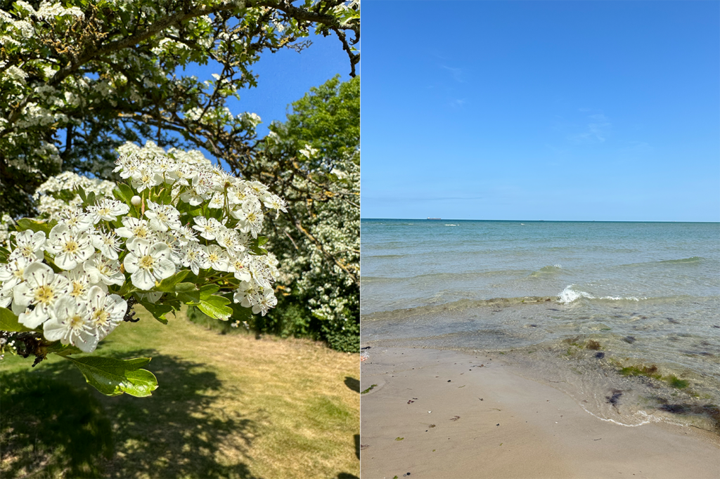 skagen nature scenics