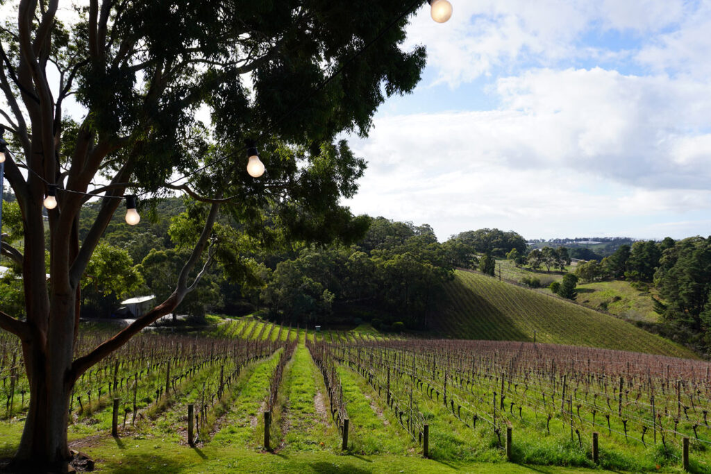 Mount-Lofty-Ranges