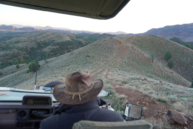 Into the Outback at Arkaba. Photo by Elizabeth Harvey