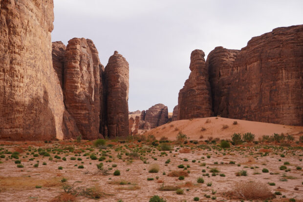 The Sharaan Nature Reserve. Photo by Elizabeth Harvey