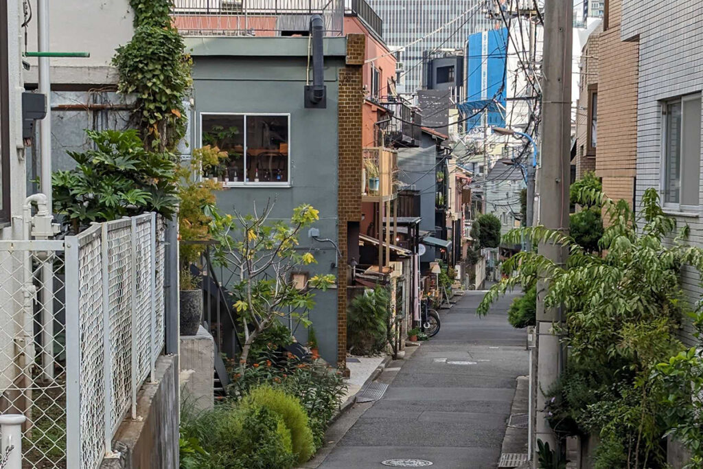 Charming Street in Kagurazaka