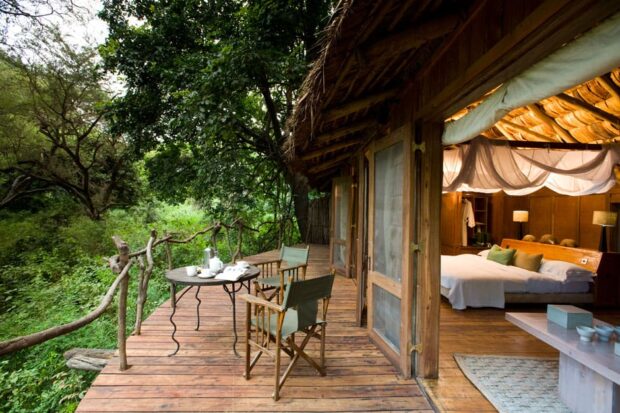 A suite at Lake Manyara Tree Lodge