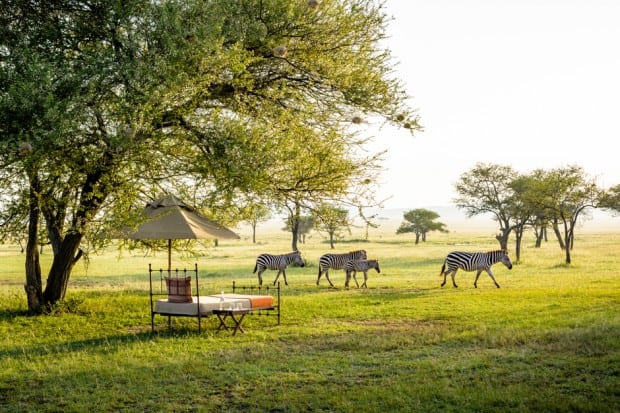 Close encounters on safari. Courtesy Singita Sabora