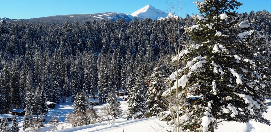 Article - Magical Montana - Indagare