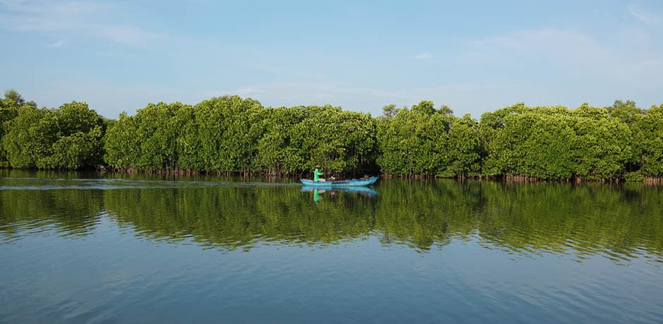 Article - Just Back From…Sri Lanka - Indagare