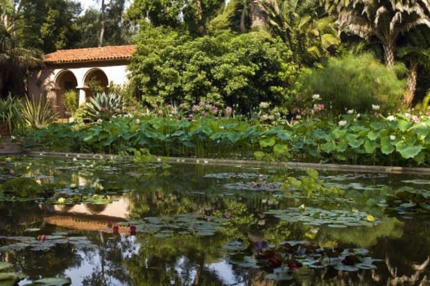 Cortesia Lotusland, Santa Barbara